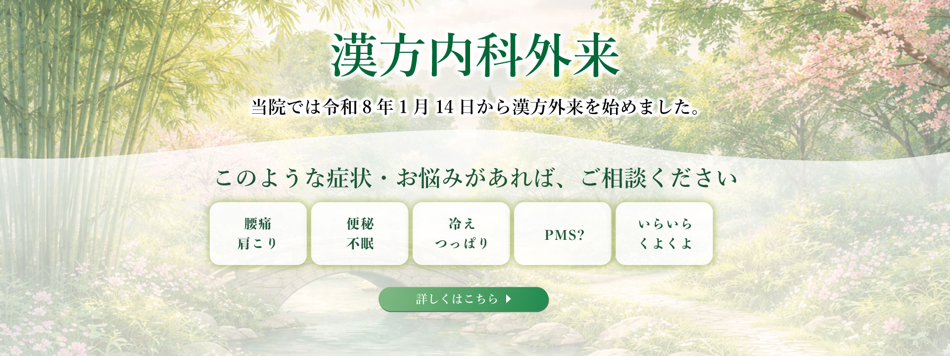 漢方内科外来 特設サイト